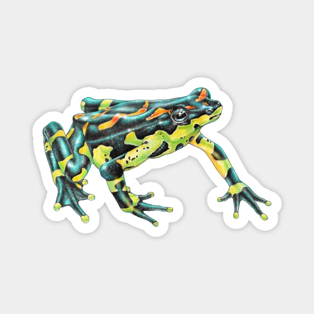 Harlequin Toad Magnet by Tim Jeffs Art