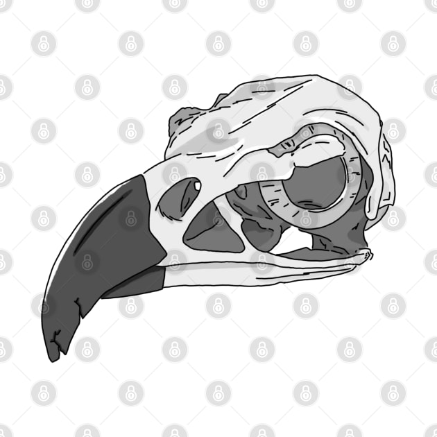 Harpy Eagle Skull by babygunz47