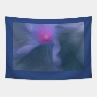 Pink Petals-Available As Art Prints-Mugs,Cases,Duvets,T Shirts,Stickers,etc Tapestry