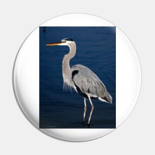 Evening Heron Pin