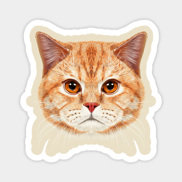 Orange Tabby Cats Face Orange Tabby Cat Magnet Teepublic