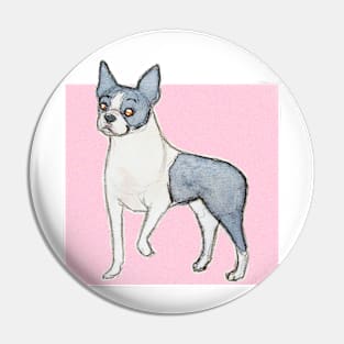 Boston terrier Pin