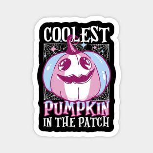 Coolest Pumpkin In The Patch Trans Flag Jack O’ Lantern Funny Magnet