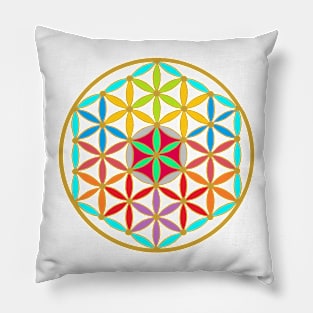 Sacred Geometry Funkiness Pillow