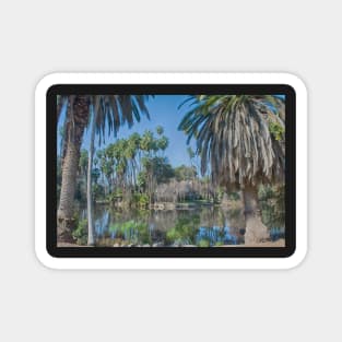 Los Angeles Arboretum Magnet