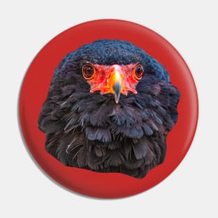 Bateleur eagle Pin