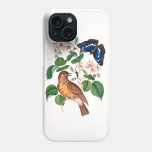 Spotted flycatcher and eggs, bramble and Purple Emperor and longhorned beetle Phone Case