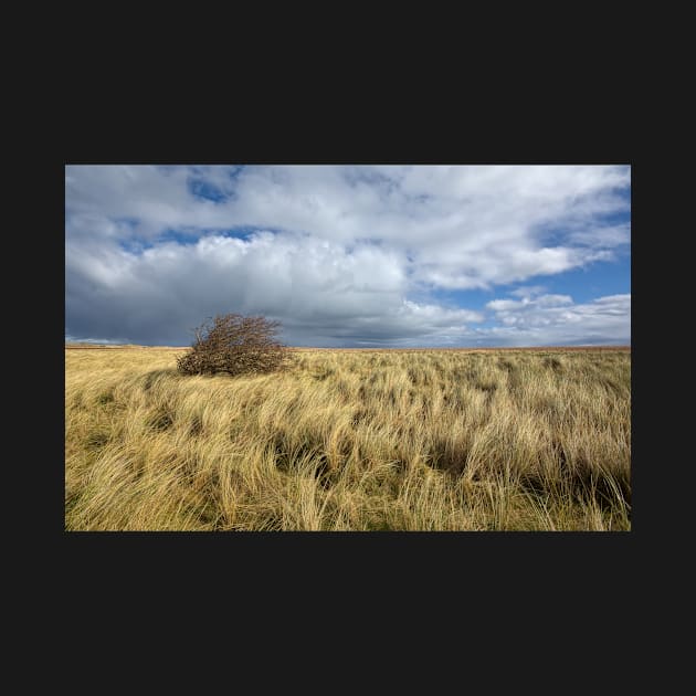 Northumberland Skies by StephenJSmith