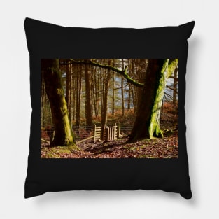 forest woodland win hill peak district in the Autumn sun light Pillow