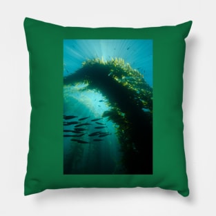 Sunrays In a Kelp Forest Pillow