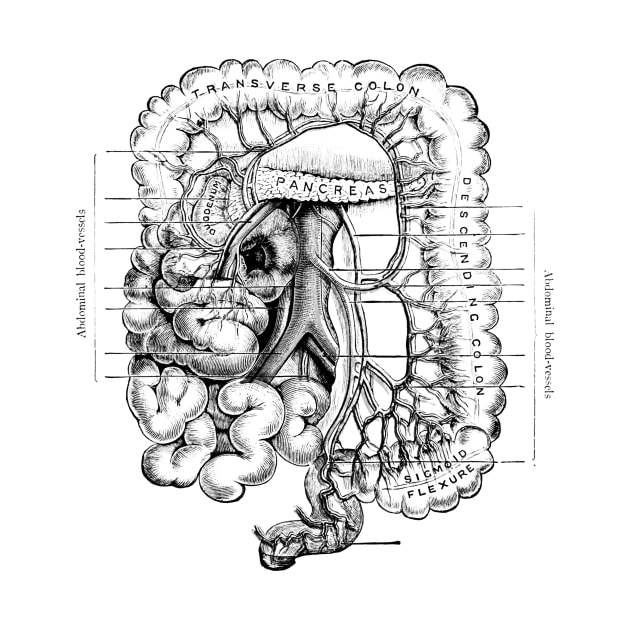 Human Body - Digestive System by be yourself. design