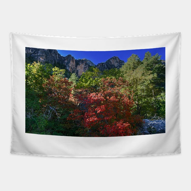 Guadalupe Mountains National Park McKitrick Canyon Tapestry by StonePics