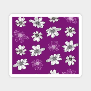 White Cosmos flowers on magenta Magnet