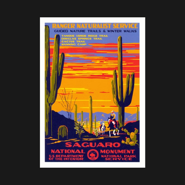 Saguaro NP by headrubble