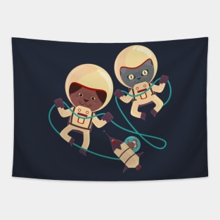 Space Explorers Tapestry