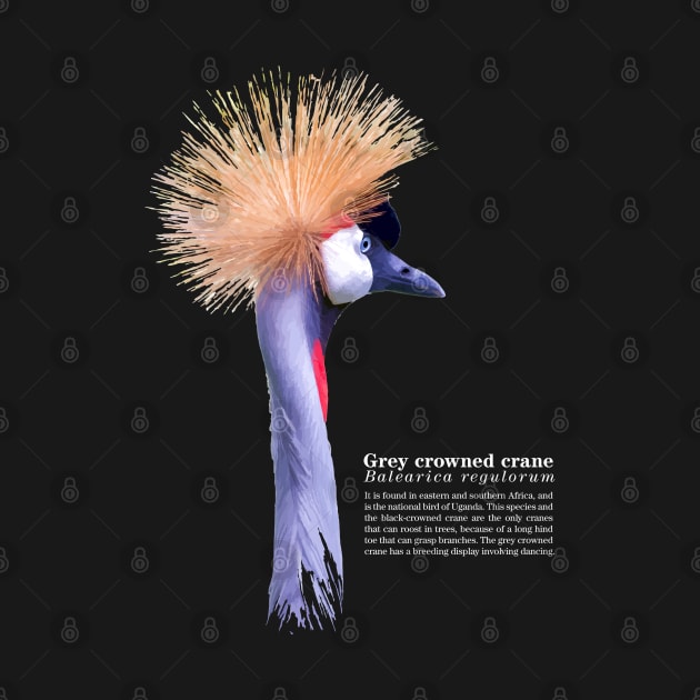 Grey crowned crane tropical bird white text by Ornamentum