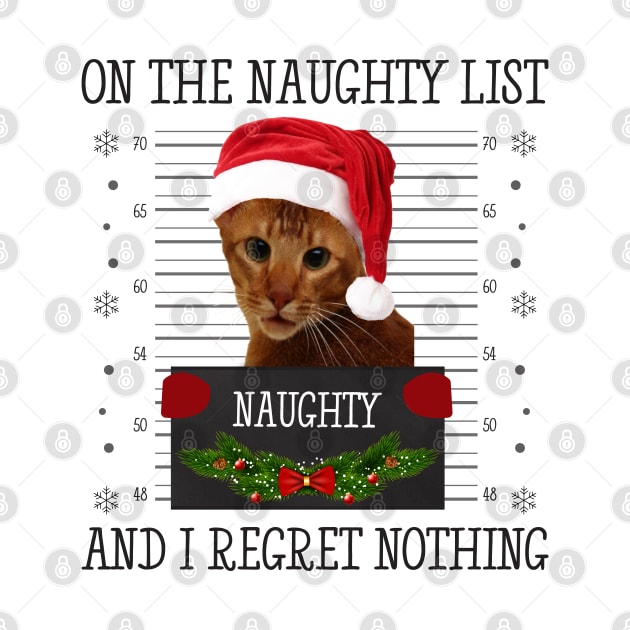 On The Naughty List And I Regret Nothing by CoolTees