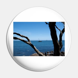 View through twisted pohutukawa tree branches across barge with crane blue ocean to distant horizon Pin