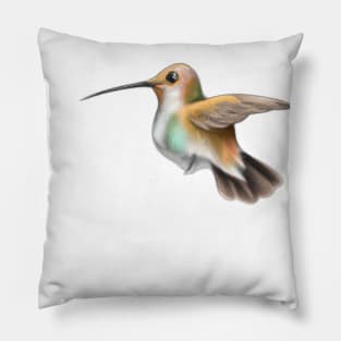 Cute Hummingbird Drawing Pillow