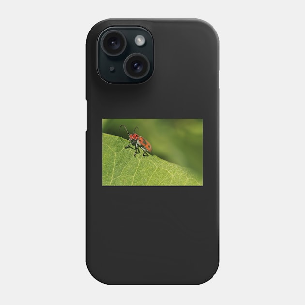 Red and black beetle on a leaf Phone Case by BirdsnStuff