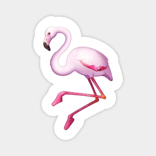 Cozy Flamingo Magnet