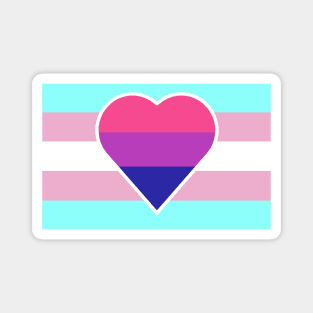 Transgender Pride Flag with Bisexual/Biromantic Heart Magnet