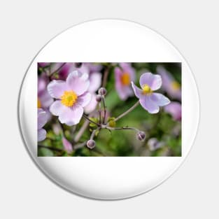 Delicate Anemone Pin