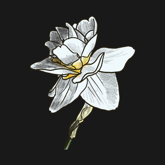 Daffodil 2 by shehitsback
