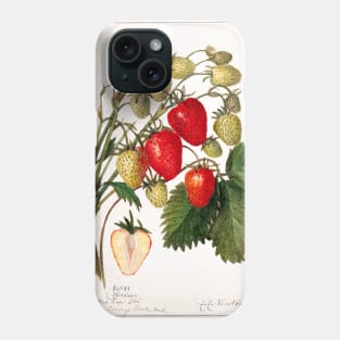 Strawberries (Fragaria) (1912) Phone Case