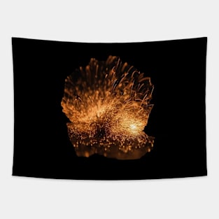 Fire Sparks Tapestry