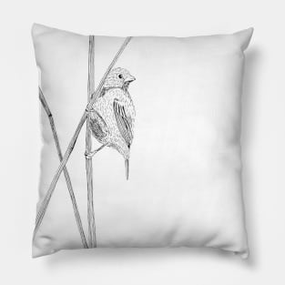 Chesnut Bellied Seedeater Pillow