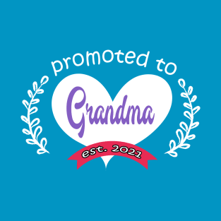 promoted to grandma est 2021 Mothers Day Gift for grandma T-Shirt