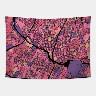 Austin Map Pattern in Purple & Pink Tapestry