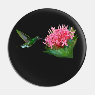 Hummingbird and pink flowers Pin