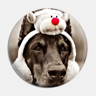 Reindeer Dog Pin