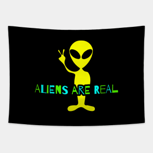 Aliens Are Real Tapestry