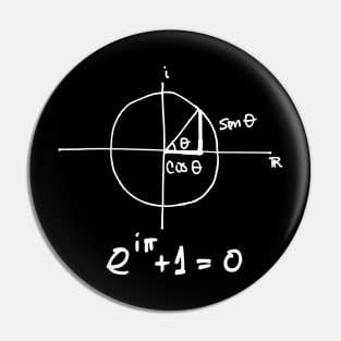 Euler's Equation Pin