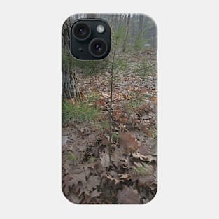 Baby Pine Phone Case