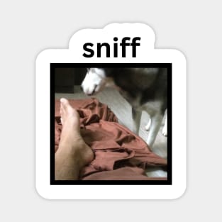 Funny Weird Cute Husky Dog Sniffing Foot Magnet