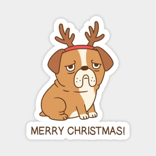 Grumpy Bulldog With Reindeer Antlers Funny Merry Christmas Magnet