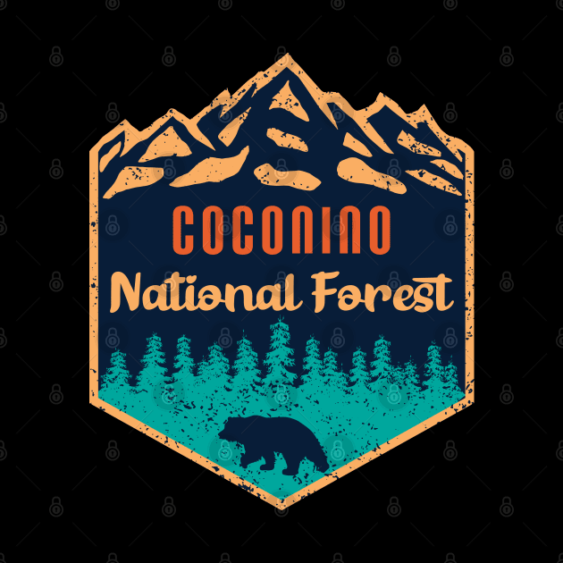 Coconino national forest by Tonibhardwaj