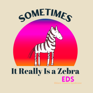 Sometimes It Really is a Zebra EDS Ehlers-Danlos Awareness T-Shirt