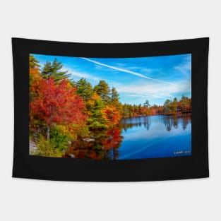 Autumn Colors at Kearney Lake 01 Tapestry