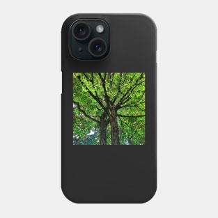 Treasured Trees Phone Case