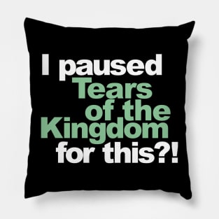 I paused Tears of the Kingdom for this?! Pillow