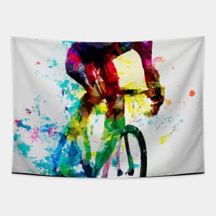 Racing Bike Cyclist Rainbow Tapestry