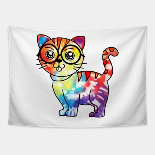 Tie Dye Colorful Rainbow Cute Cat Tapestry