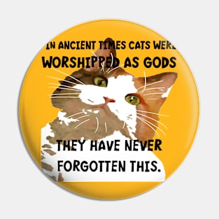 In Ancient Times Cats Were Worshipped As Gods Pin