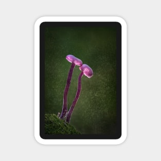 Amethyst Deceivers Magnet