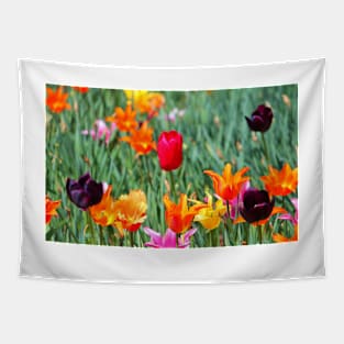 Tulips For Spring Tapestry